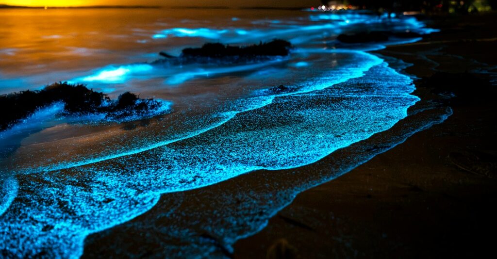 Kumbalangi Beach in India,Kochi