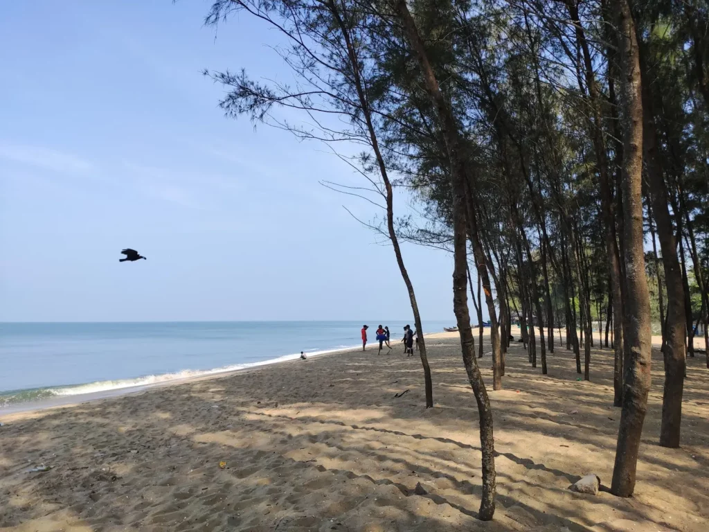 Kuzhupilly Beach by CB