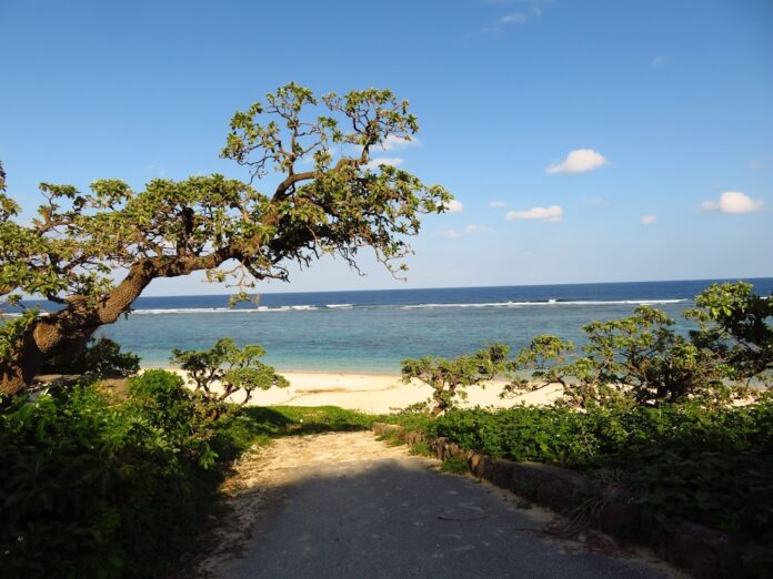 Yoshino Kaigan Beach in Japan